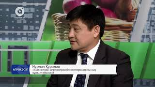 Бақ шаруашылығы