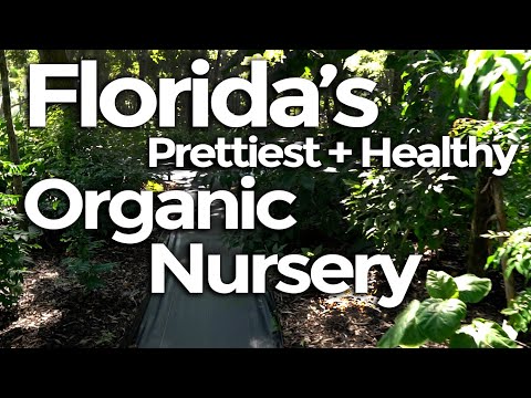 This Might be The Prettiest And Healthiest, ORGANIC Nursery in Florida!