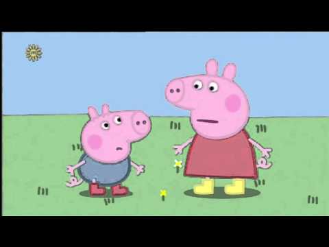Frog and Worms and Butterflies