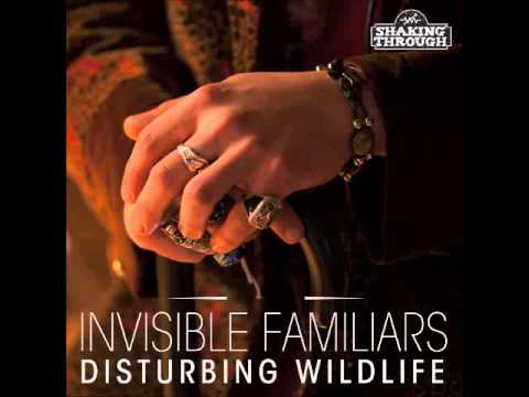 Invisible Familiars - Disturbing Wildlife | Shaking Through (Song Stream)