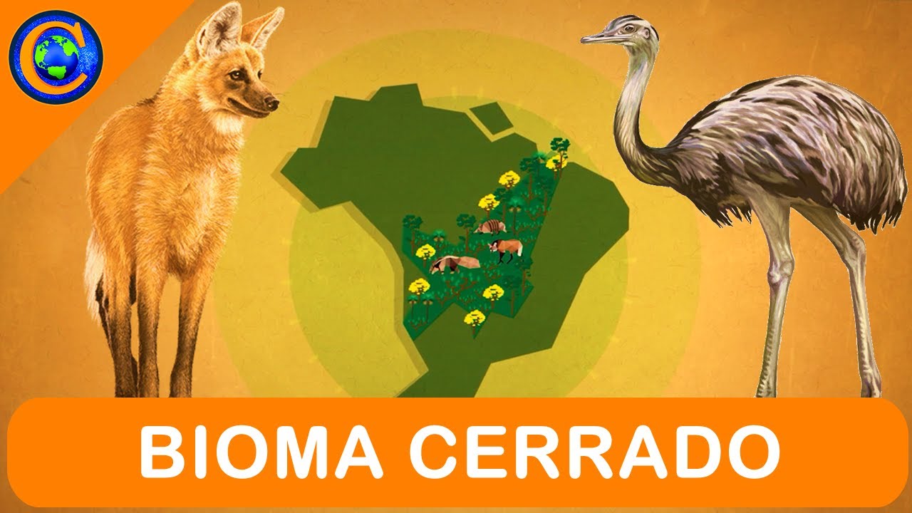BIOMA CERRADO