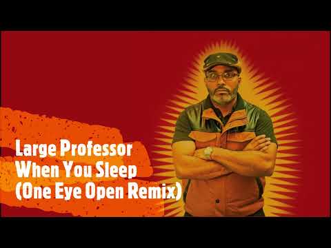 Large Professor - When You Sleep (One Eye Open Remix) Nas DMX 2Pac Czarface