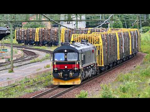 Svenska tåg del 89 - Långsele station