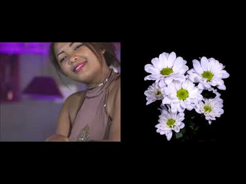 IGNACI     TSY AMBELAKO  Clip Officiel  HD