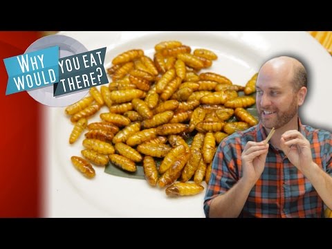 TYPHOON: First-Class Bug Buffet! - Why Would You Eat There?