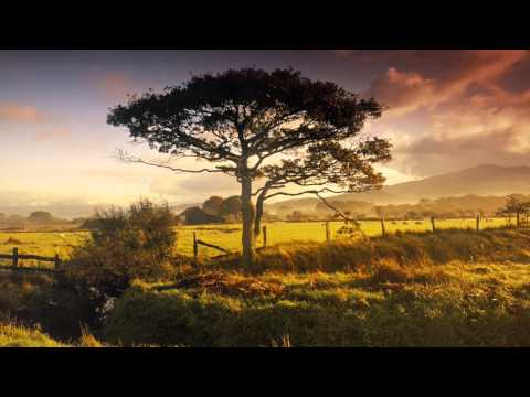 Silver Dove Funerals - Brisbane Funeral Directors 24 Hours - All Areas