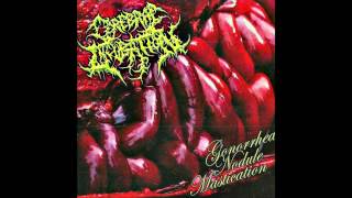 Cerebral Incubation-Gonorrhea Nodule Mastication (Full Album 2012 HD)
