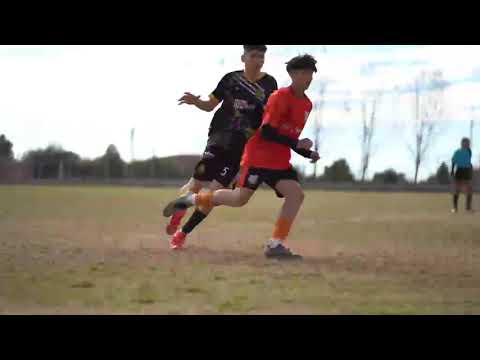 Highlights #1