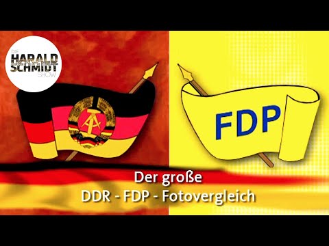 DDR & FDP - Erschreckend viele Gemeinsamkeiten? | Die Harald Schmidt Show (ARD)