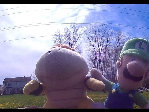 Luigi and Bowser Junior Go To The Park