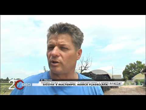 VENTIEDIECI PUNTATA DEL 29 GIUGNO 2017 con FABIO CURTO E GIUSEPPE ROMANO