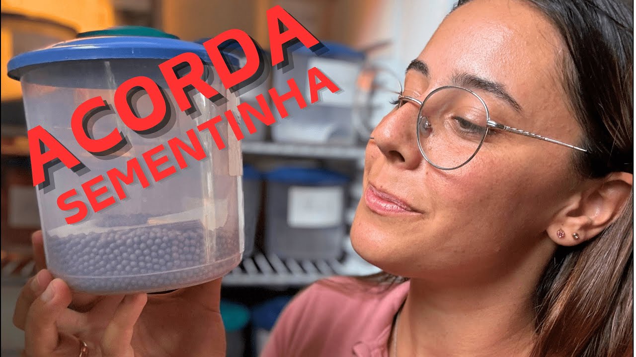COMO QUEBRAR A DORMÊNCIA DAS SEMENTES