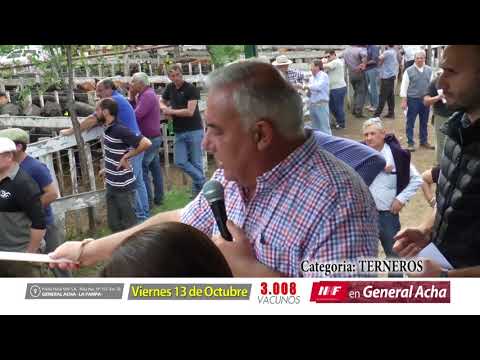 DE FRENTE AL CAMPO junto a NHF -REMATE de TERNEROS