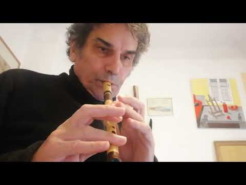 Jig "Humours at Glendart" with Wooden whistle OB Whistles