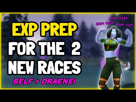 Prep this for faster leveling in TBC Pre patch