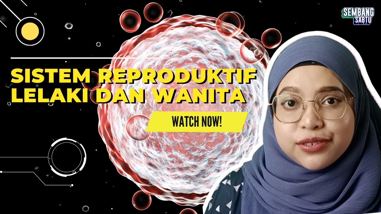 Lihat Apa Itu Bahasa Reproduktif sekarang Apa Itu Bahasa Reproduktif