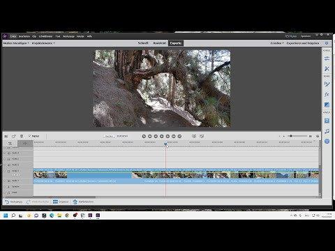 Tutorial Premiere Elements 2021 Videoschnitt Einfach