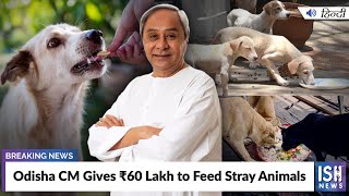 Odisha CM Gives Rs 60 Lakh to Feed Stray Animals