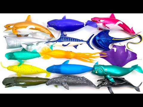 WHALES & Co. BIG Toys"R"Us ver. "unboxing" Complete Toysrus DeAgostini squishy squid