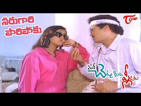 Chettu Kinda Pleader Songs || Neerugari Paripoku Video Song || Rajendra Prasad || Kinnera