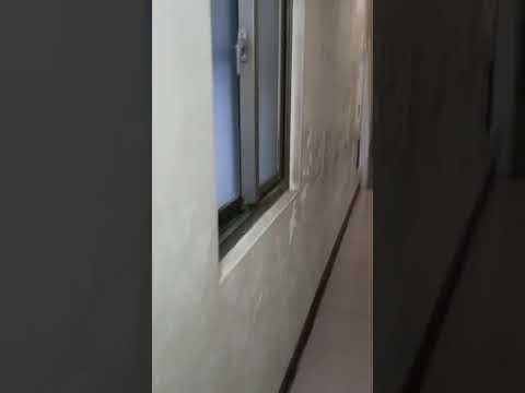 大園埔心國小旁2樓整層出租 整層住家 大園區-中正東路一段163巷36弄 591租屋 月租14,000元/月