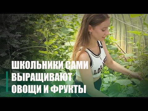 Чечерские школьники взяли курс на здоровое питание видео