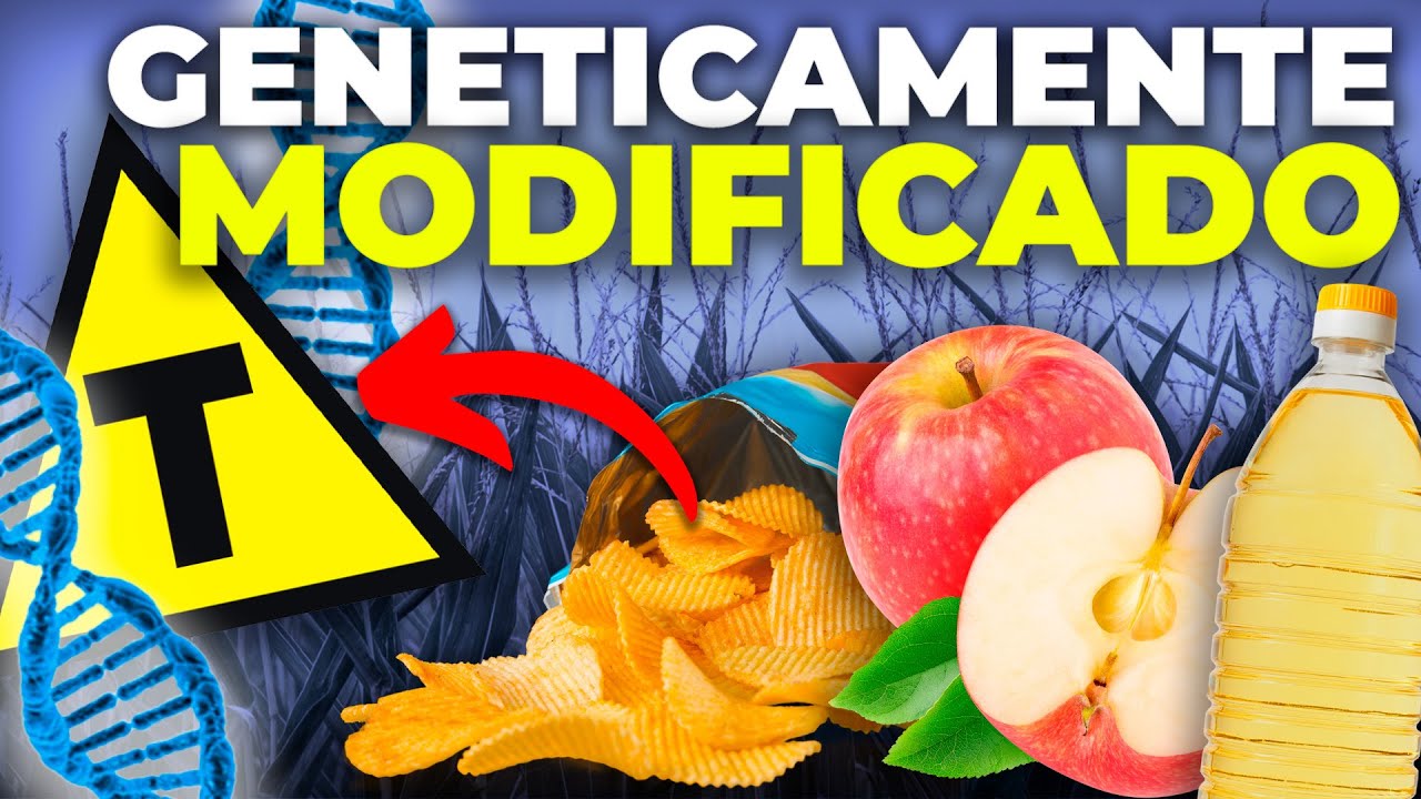 Watch Now ALIMENTOS TRANSGÊNICOS E OS DETALHES QUE ESCONDEM DE VOCÊ ALIMENTOS TRANSGÊNICOS E OS DETALHES QUE ESCONDEM DE VOCÊ
