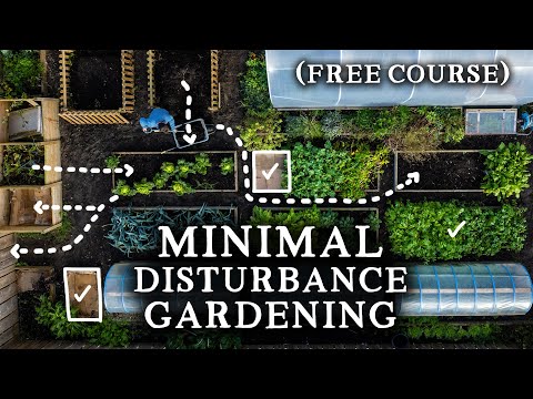 Minimal Disturbance Gardening | A Pragmatic Approach for Self-Sufficiency