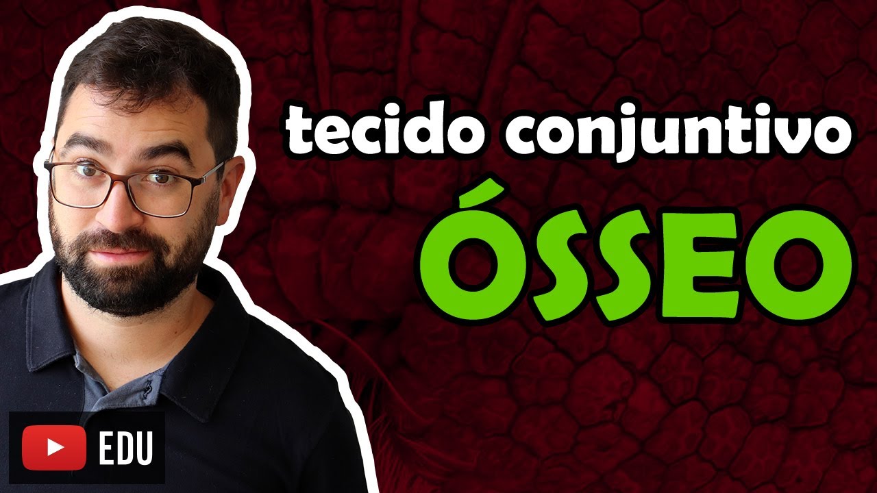 Tecido Conjuntivo Ósseo - Aula 08 - Módulo VII: Histologia e Fisiologia Humana | Prof. Gui