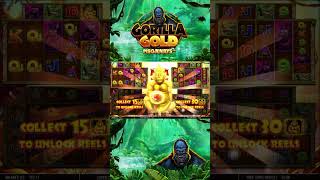 Gorilla Gold Big Win #shorts