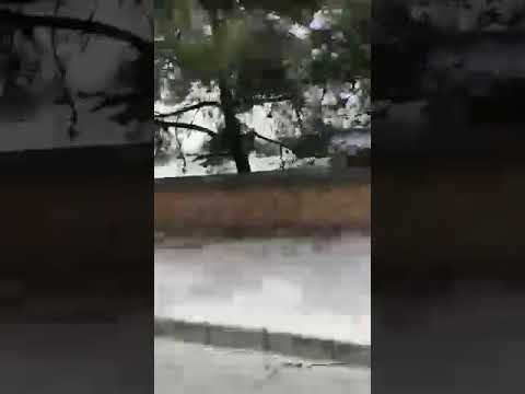 qroup funny  Dilsizdir benim acılarım