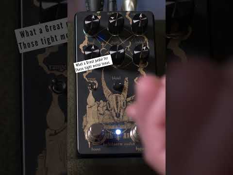 Perfect pedal for the tight sounding metal tones . #shorts #metal #guitar #distortion #guitarist