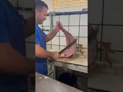 Mercado de Peixes em Salinópolis Para, opções diversas