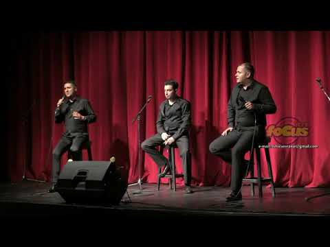 Trio Gentlemen - Koncert vo zivo (Vranje)
