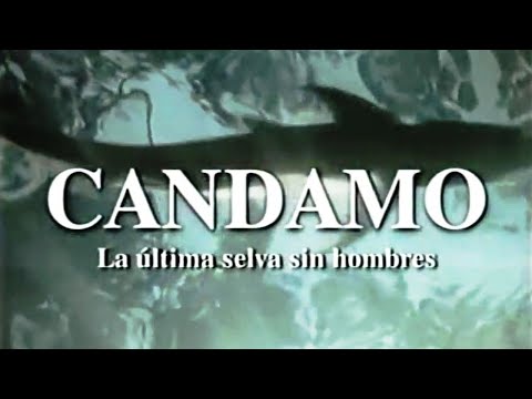 CANDAMO, La Última Selva Sin Hombres. Melo-Mañuco y Mishaja