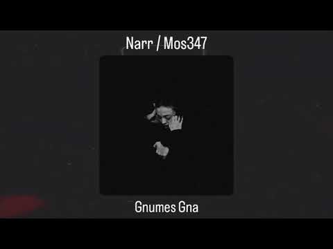 Narr / Mos347 - Gnumes Gna
