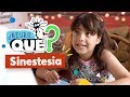 Neuroqué II Sinestesia Pakapaka