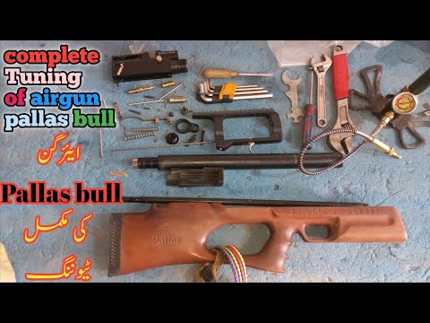 How to repair pcp airgun pallas bull at shah g airguns | Full detail repairing pcp pallas bull