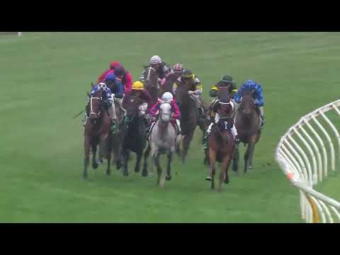 Matriarch Stakes 2025 - SUNSET PARK (4YO+ SWP G2 M) Group 2 Flemington 8 November