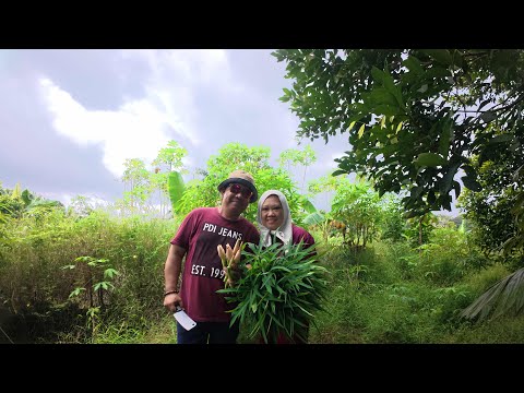 Cleaning the Abun Bilun Studio Area//Indai Bacang Picking Vegetables at the Studio