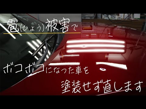 あなたの庭を雹から守るにはどうすればよいですか？被害を最小限に抑える5つの解決策＋その後の対処法！  庭園