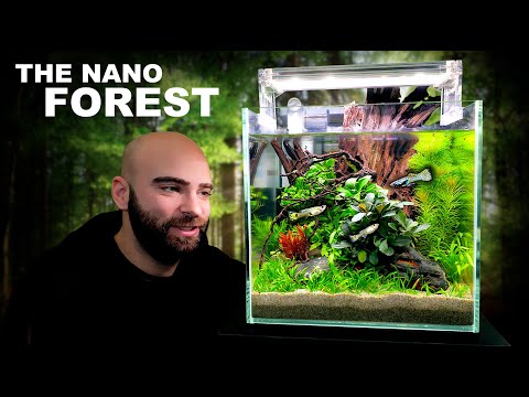The Nano Forest: ALL IN ONE Aquarium Kit (Aquascape Tutorial)