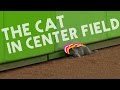 The Cat In Center Field by Schmoyoho