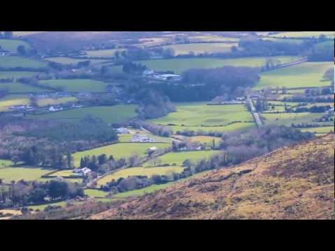 An Irish man that didn't get pissed on Saint Patricks day 2013