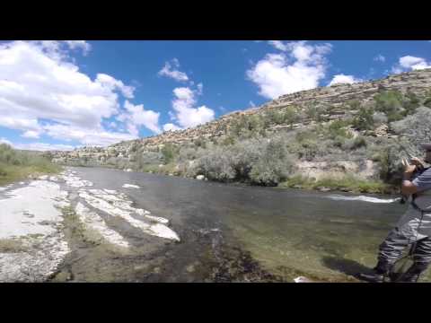 Fly Fishing the San Juan and Animas Rivers 