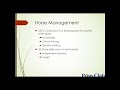 USPC Horse Management HM For The Horseless Pony Club Member