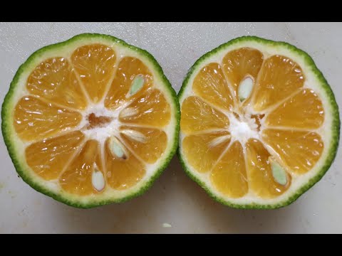 Astrology for the Soul  July 15, 2020