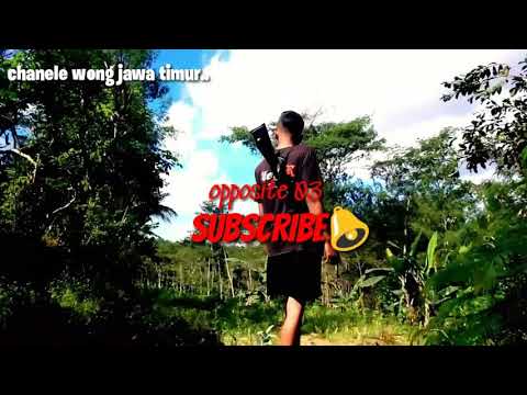 Lawak jowo .. Gara-Gara manok eps 1 😂