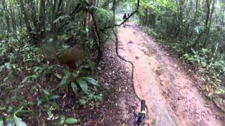 preview picture of video 'Tortugas na Trilha - Trilha do Verde - Caucaia do Alto'