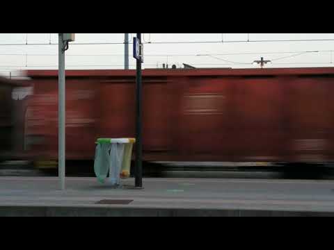 Taurus Fuorimuro + carri Eanos - Verona P.ta Vescovo dir. Venezia [28.05.2021]